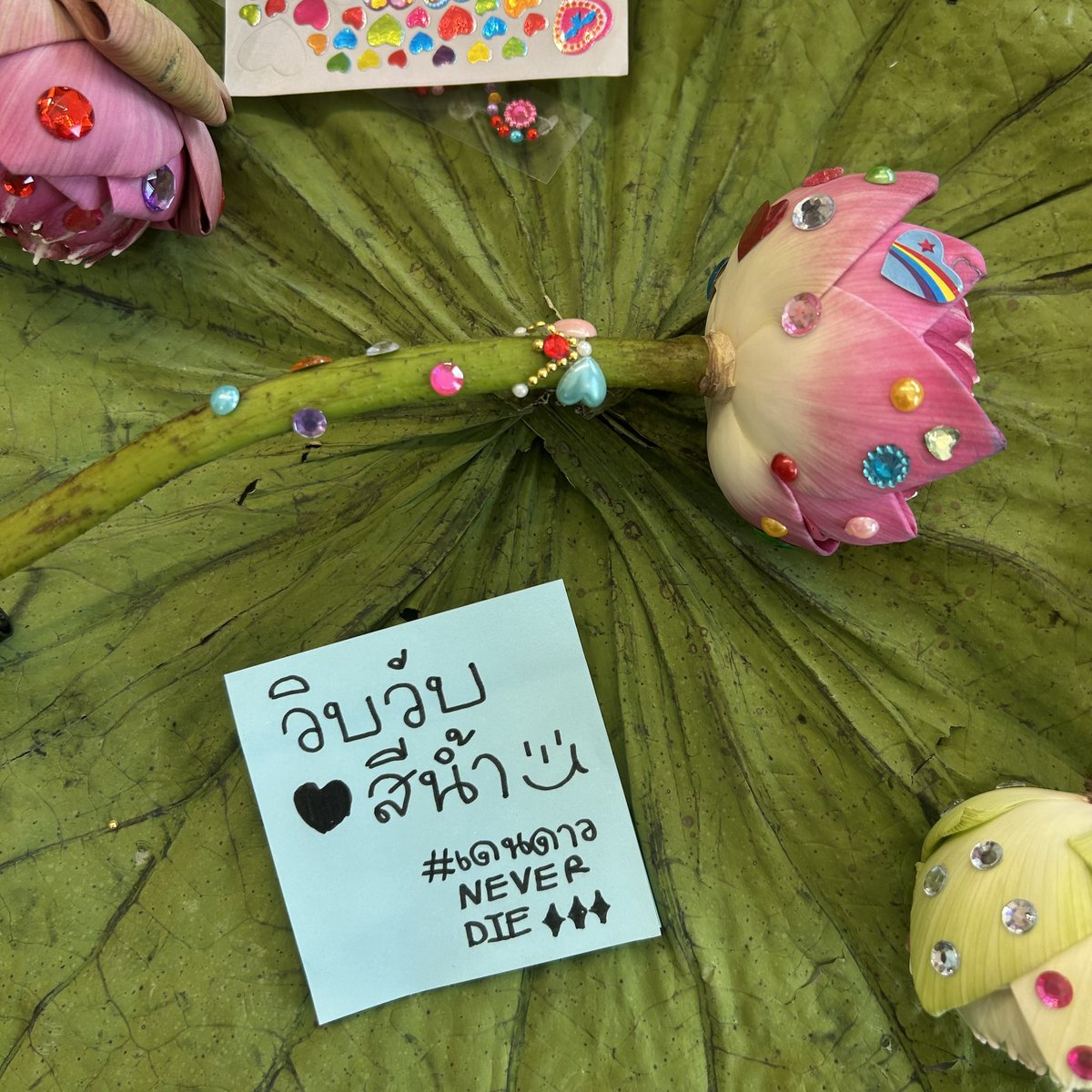 todrowsylily's tweet photo. #น้ำเต้าหู้ปูปลาxเดนดาวneverdie

— ✬✿✬
today's workshop ! 
🪷✨💭 https://t.co/O66SRS7uuz