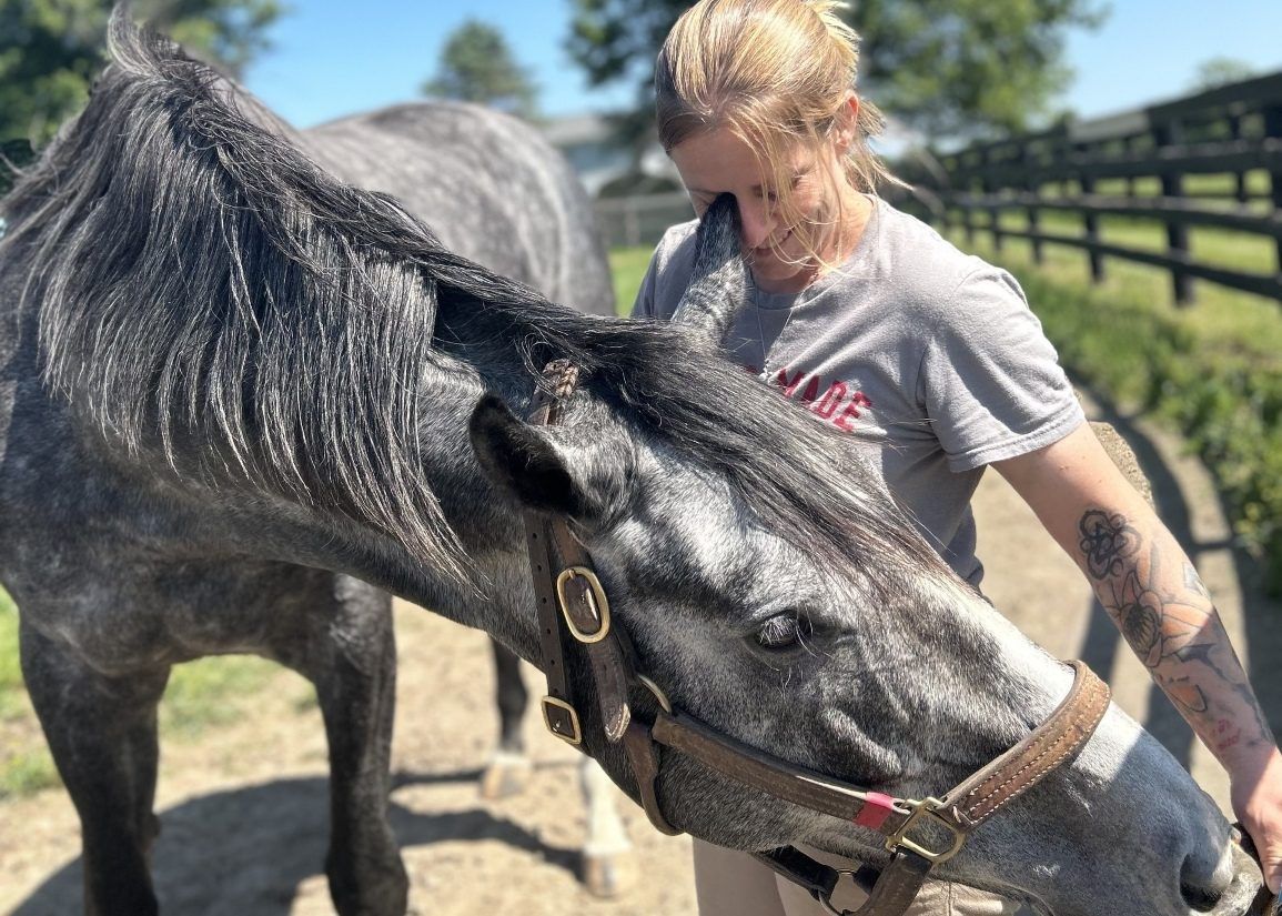 Stable Recovery tweet media