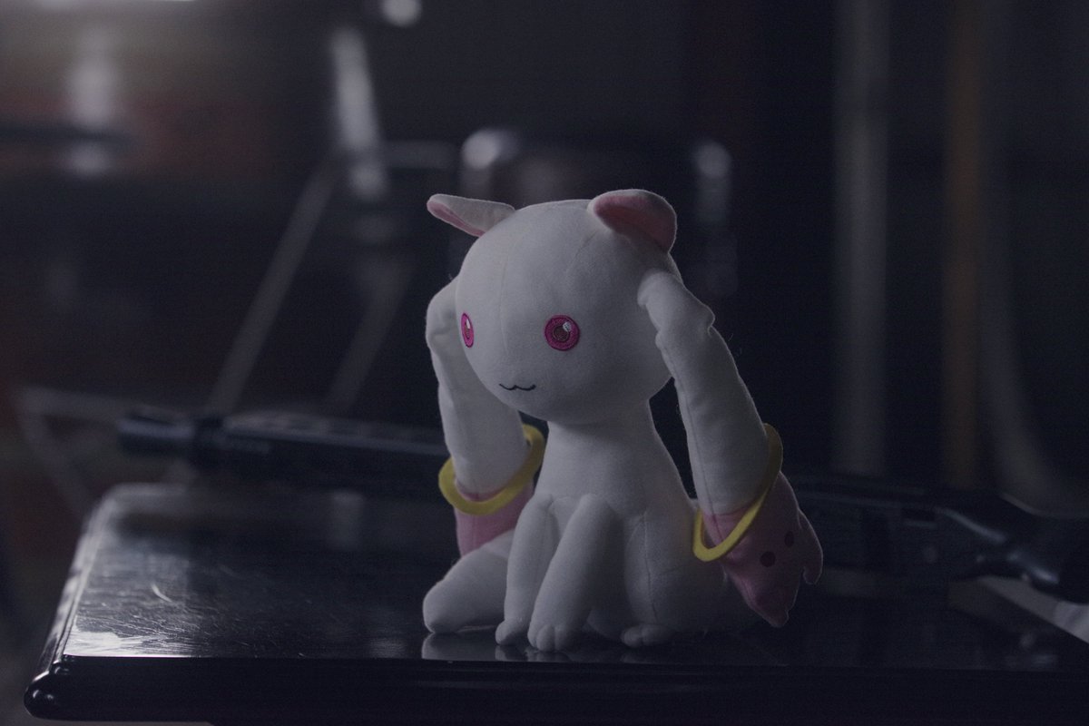 まりも左じゃよ tweet media