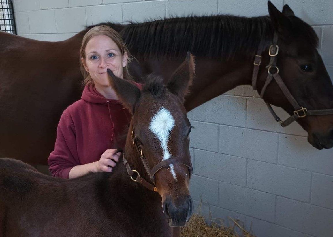 Stable Recovery tweet media