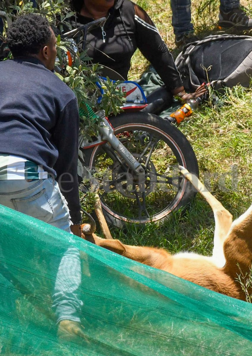 The Standard Digital tweet media