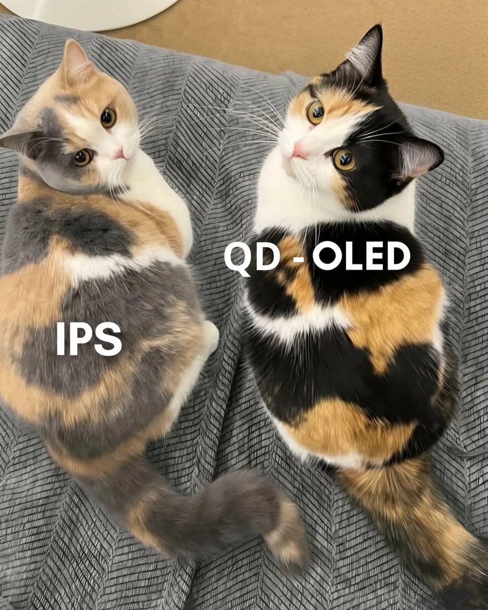 MSI Gaming España tweet media