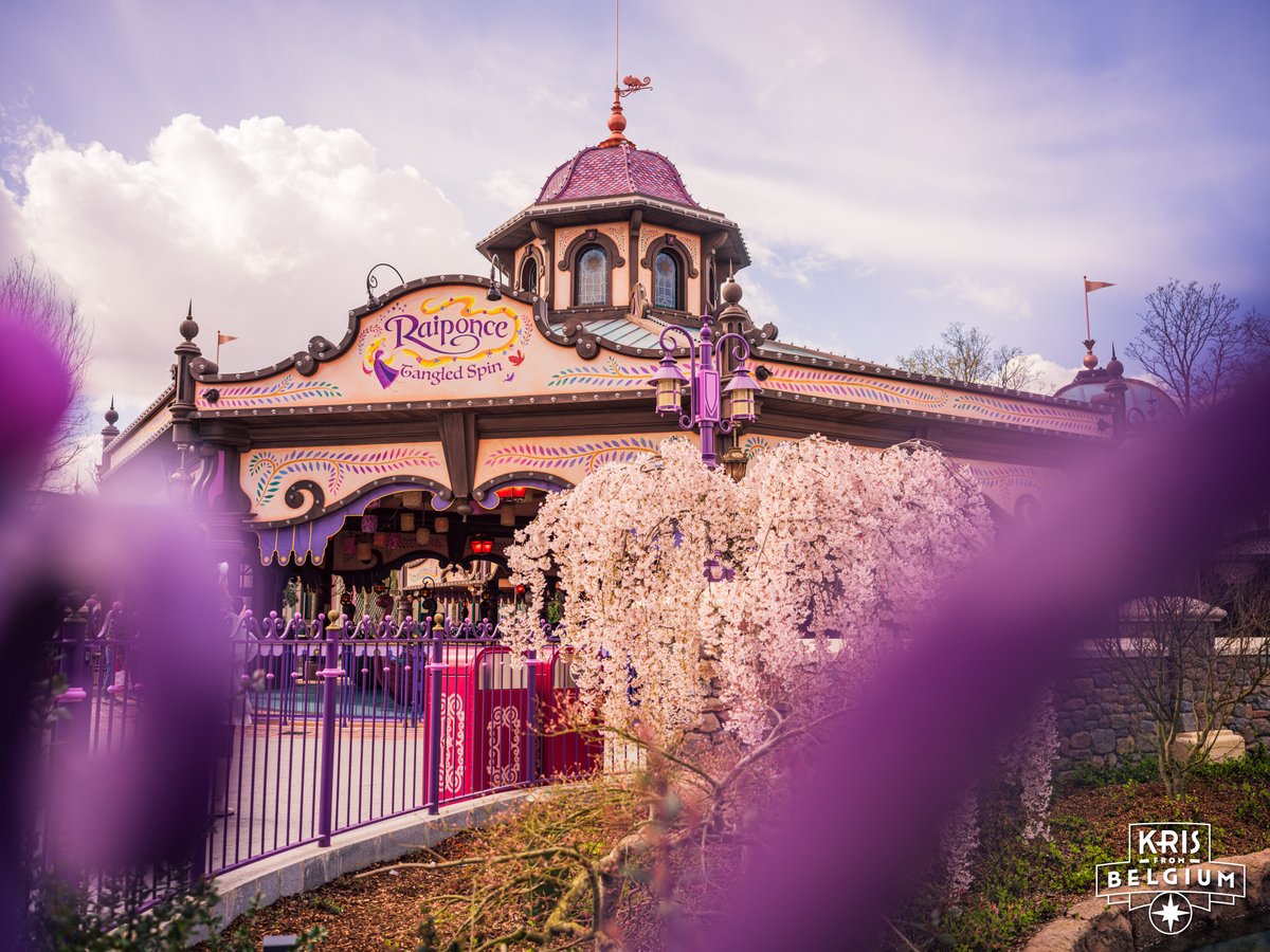 Kris From Belgium tweet media