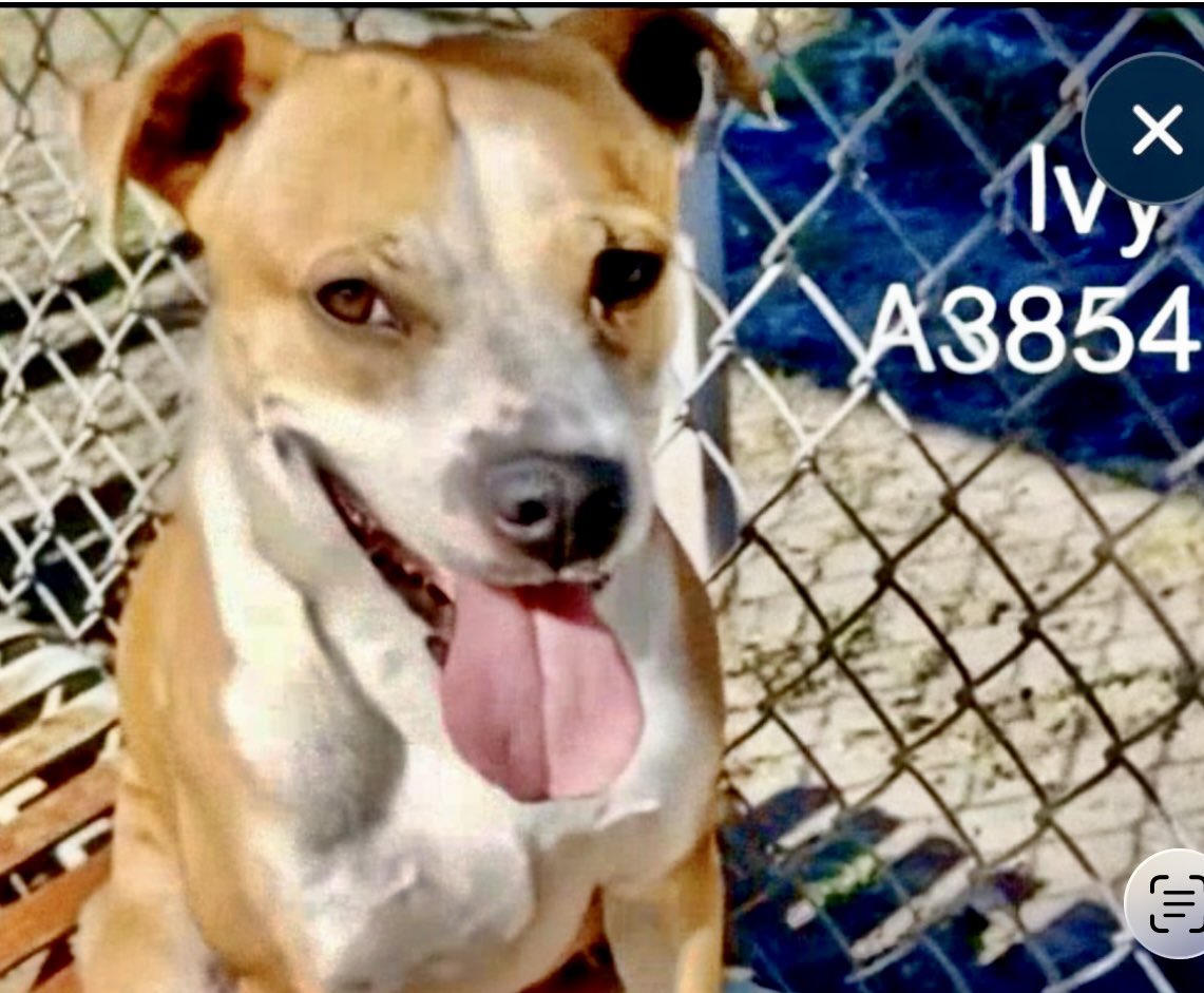 Cheryl Ramirez tweet media