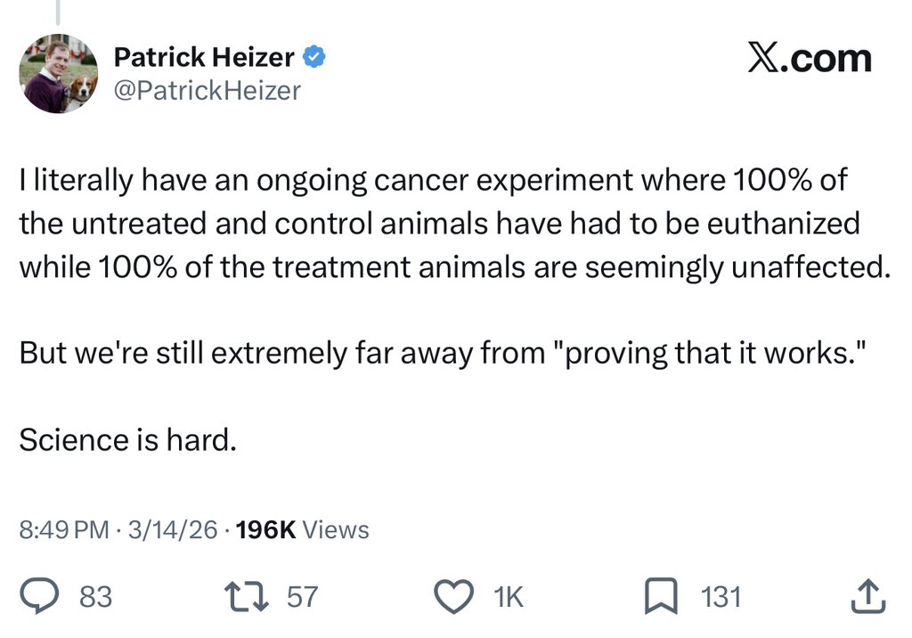 vittorio tweet media