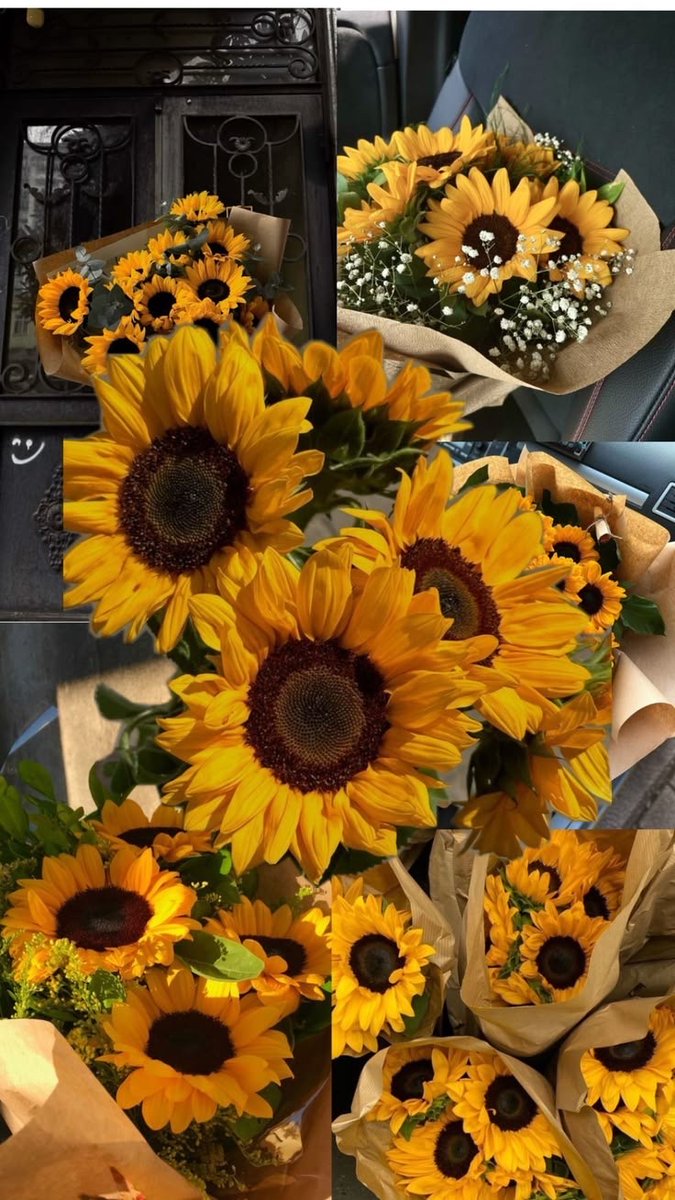sunflowerchives's tweet photo. Sunflower appreciation post 🌻 https://t.co/t2fMklri7n