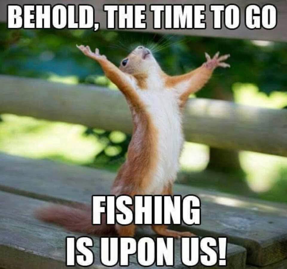 Fishreaper tweet media