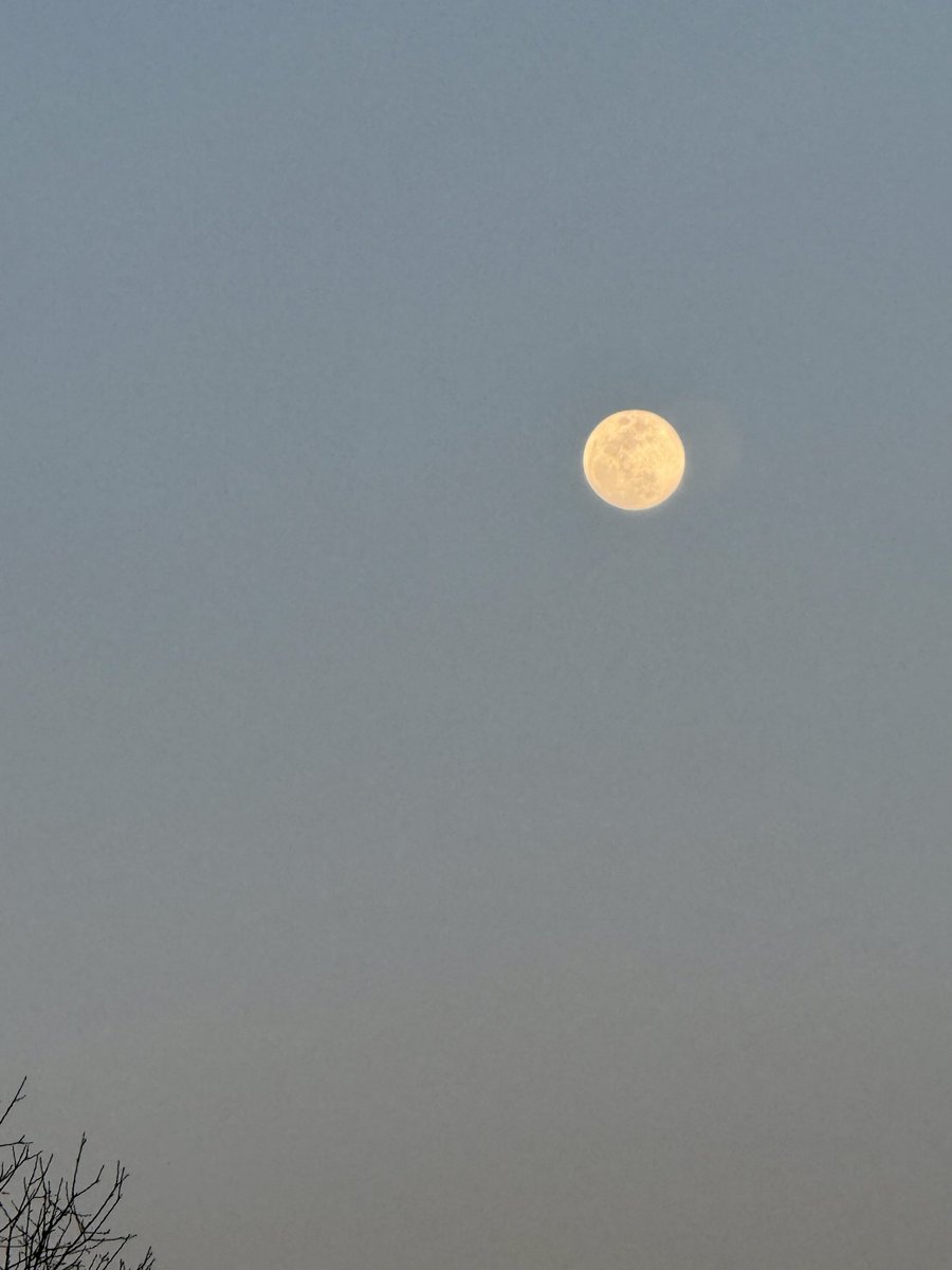 RahilMahajan07's tweet photo. 📷 (Instagram) @catchynature2021

#NaturePhotography #landscape  #nature #photography #SundayStories #fullmoon #moonvibes #sundayvibes #Goodevening #mountains #moon #NatureBeautiful https://t.co/BvZdOVPInP