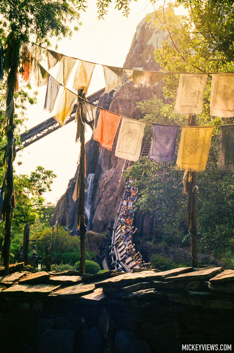 Mickey Views tweet media