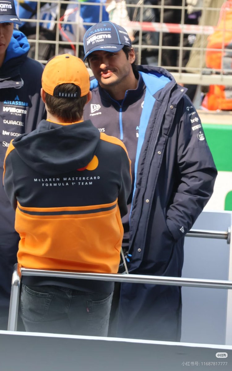 🐨🌶️ tweet media