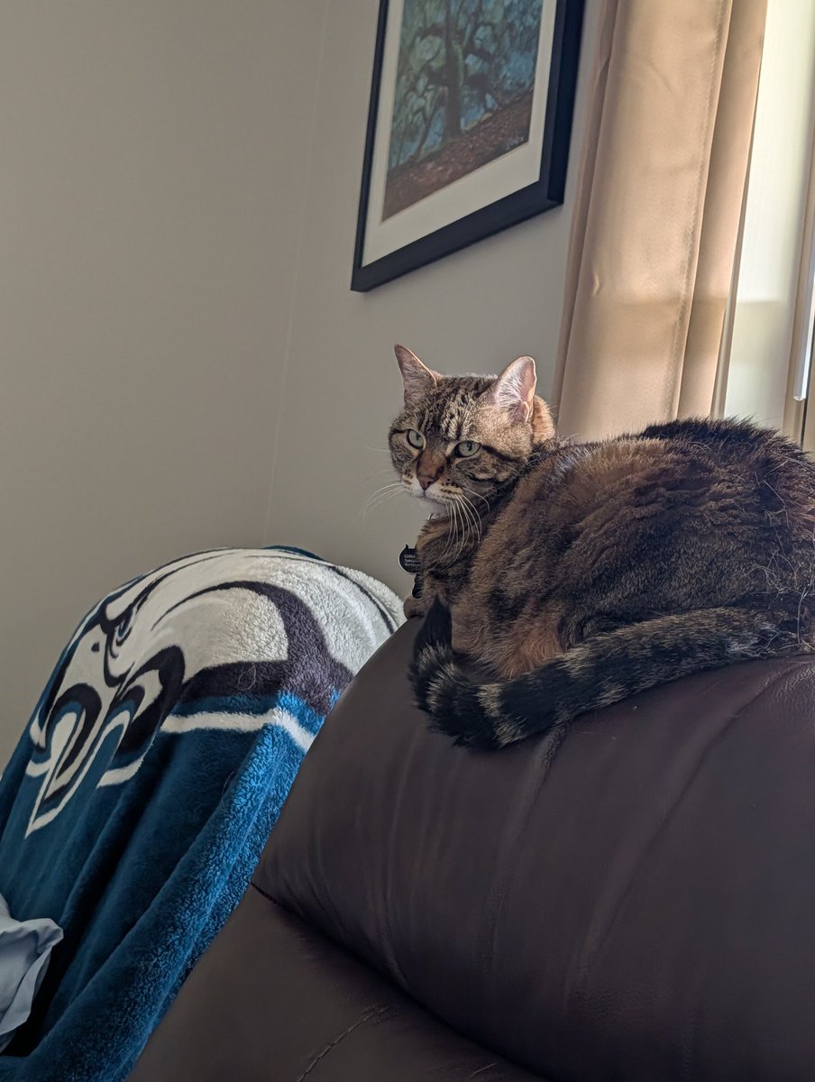 Lois Lane Kent tweet media