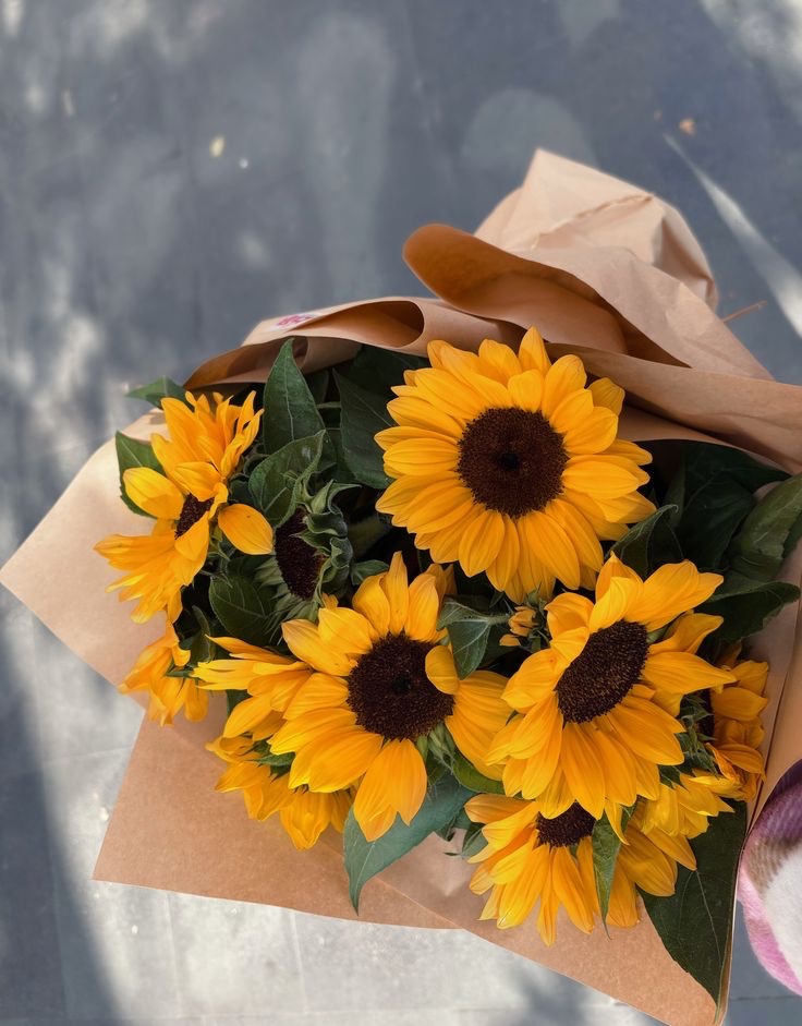 SUNFLOWER 🌻 tweet media