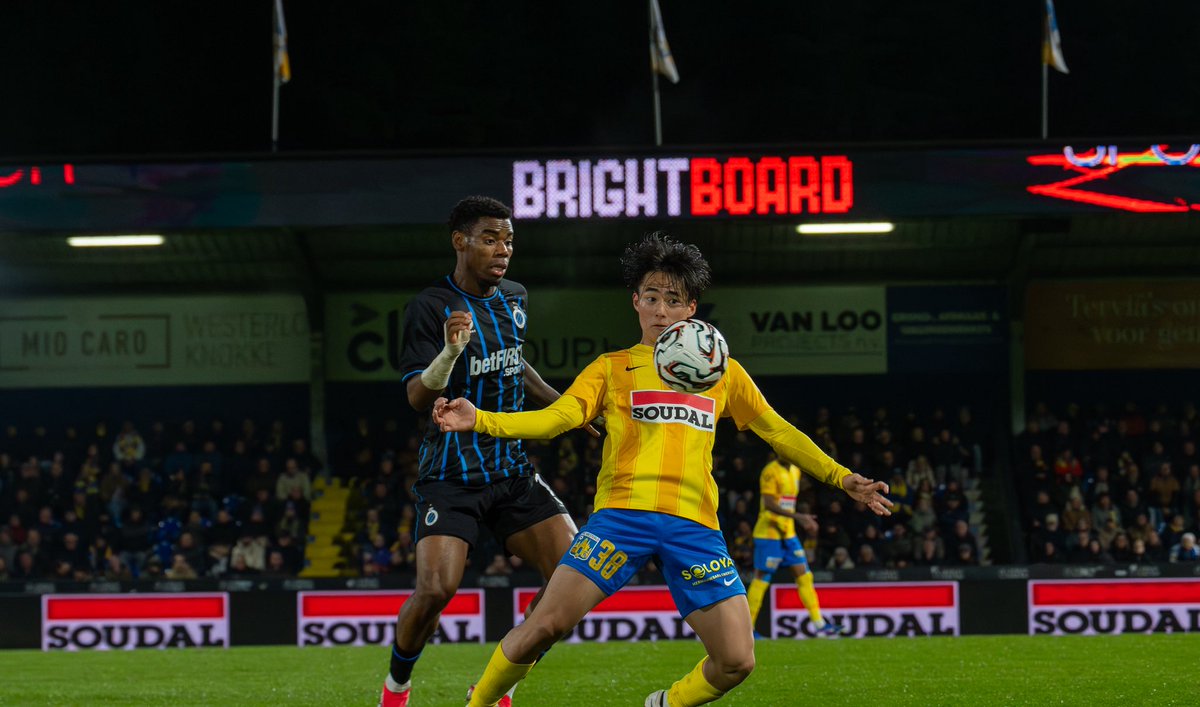 KVC Westerlo tweet media