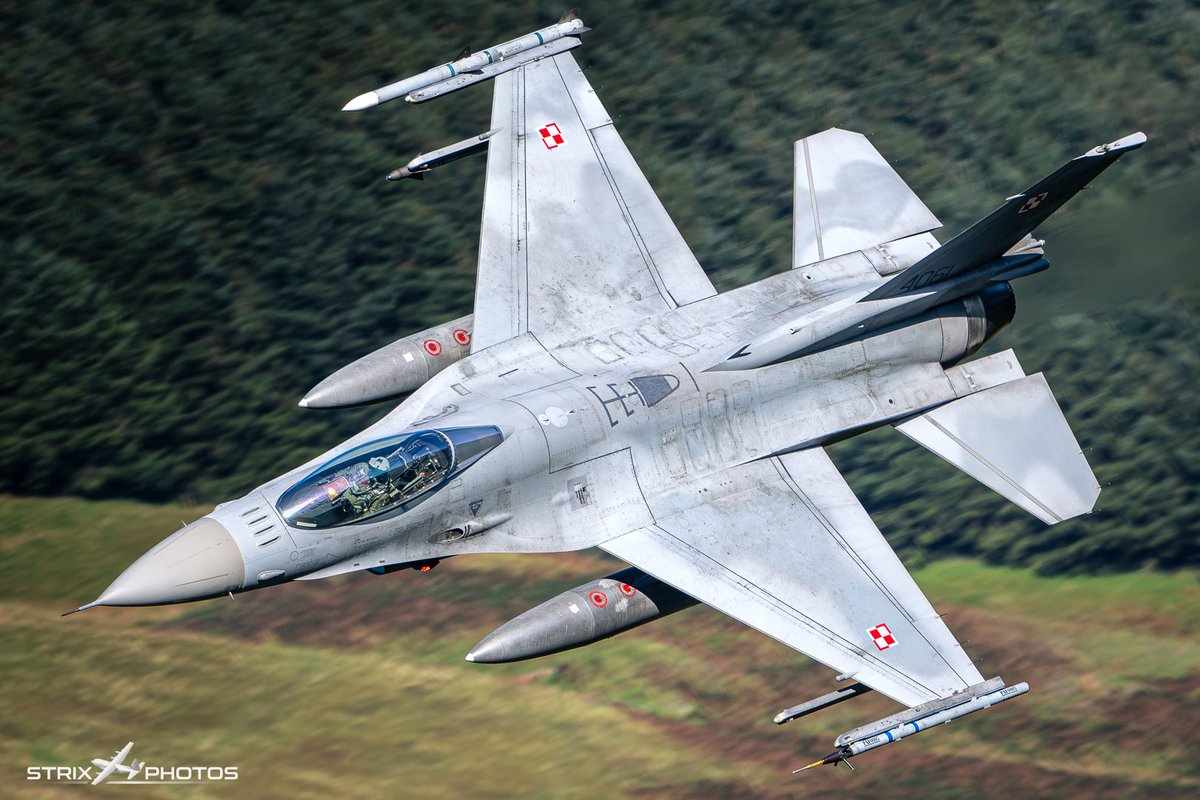 Strix Photos tweet media