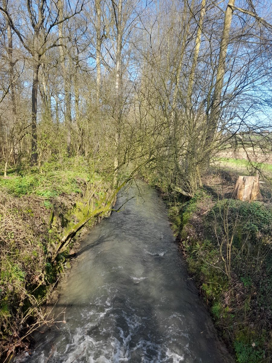 Le Rhosnes.