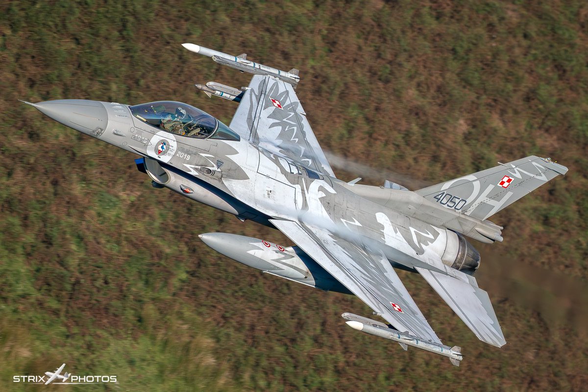 Strix Photos tweet media