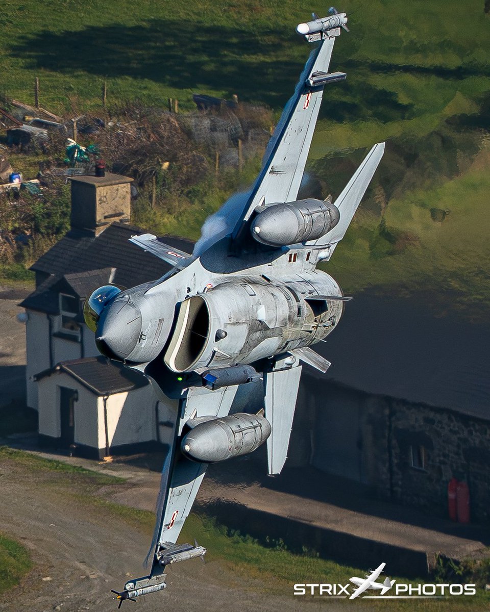 Strix Photos tweet media