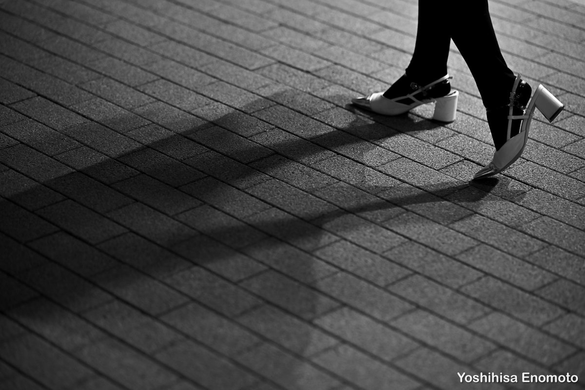 2026.02
横浜にて
Akane <a href="/Akane_22b35d/">𝐀𝐤𝐚𝐧𝐞</a> さん

<a href="/hanawa_pixels/">塙真一</a> 塙真一さんと