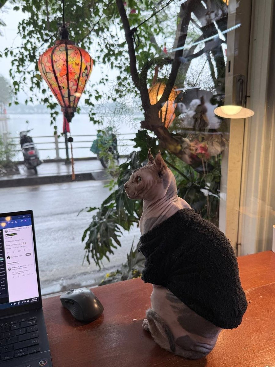 Danny Daily Note tweet media