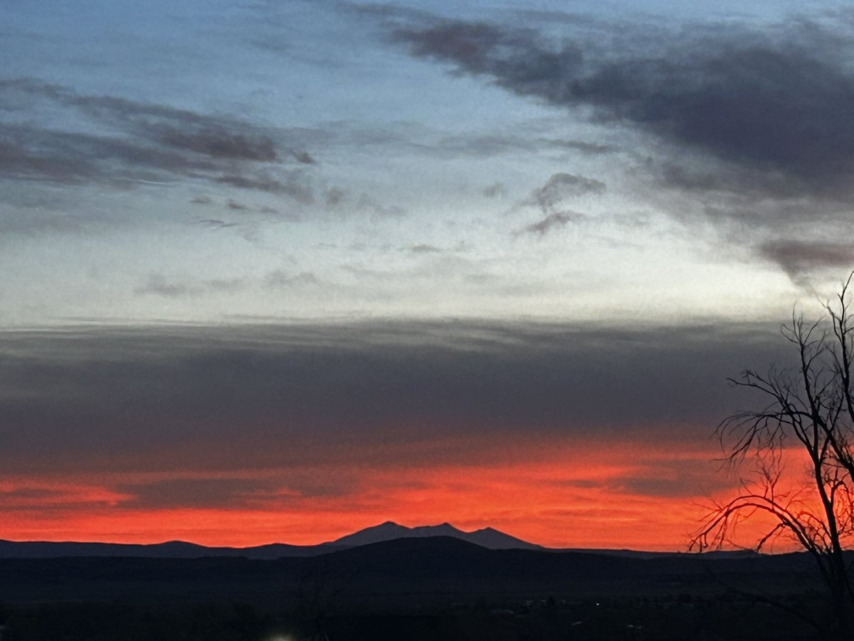 Bruce Thomson tweet media