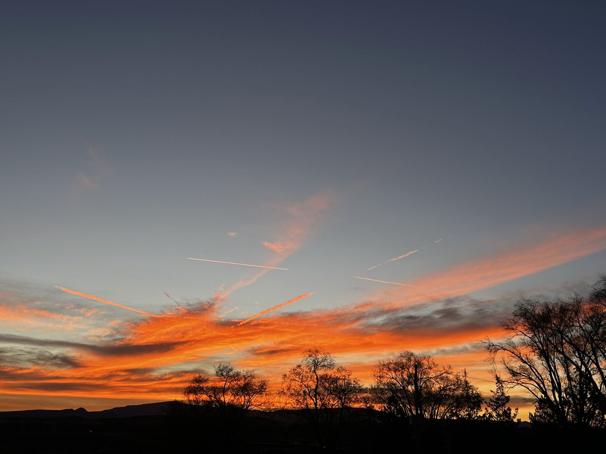 Bruce Thomson tweet media