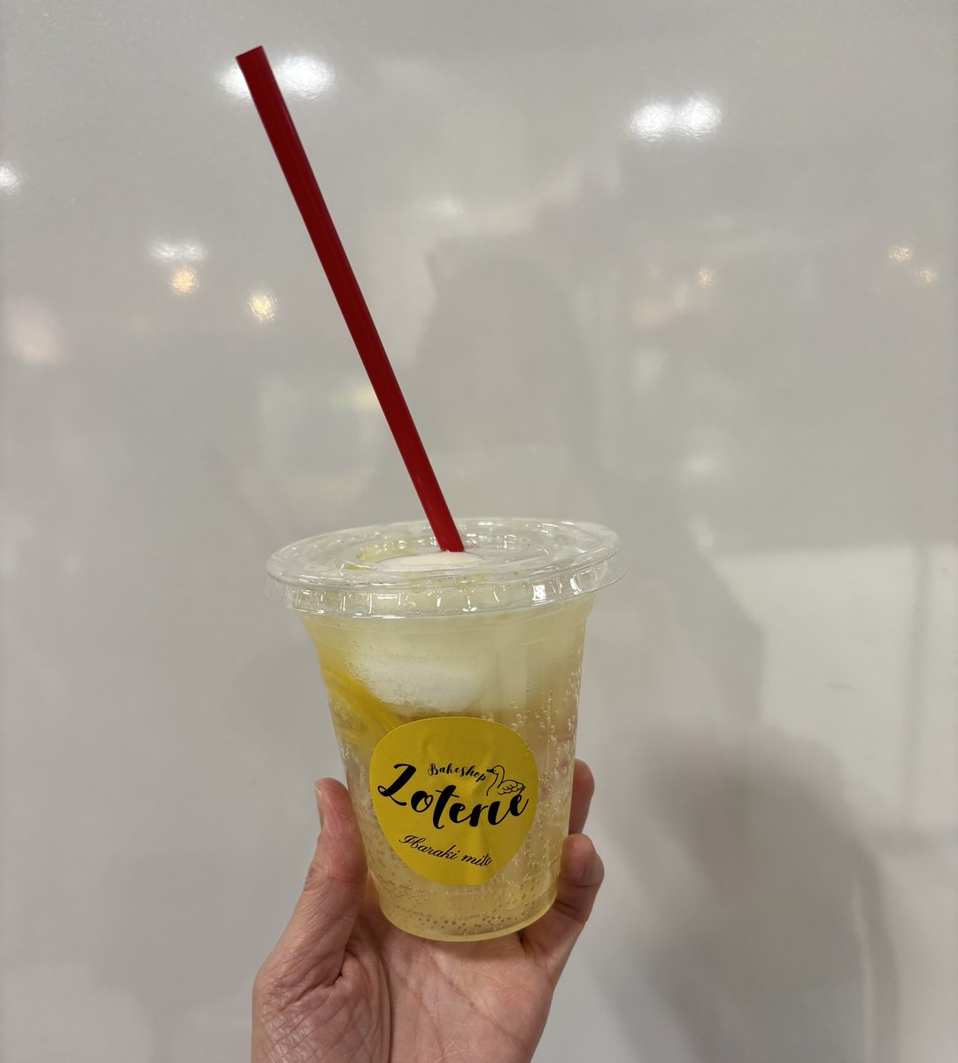 ロトリーさんのレモンソルベのレモネード🍋
入場してすぐにいただきました。
キュンキュンに酸っぱいさっぱりソルベと安定美味しい命の水✨