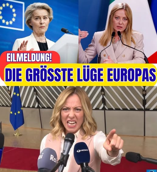 Štefan Kamenický tweet media