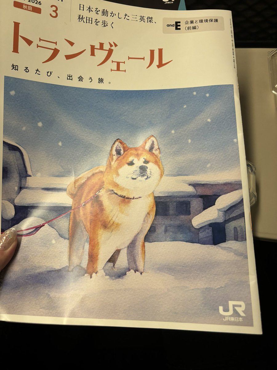 えびまよ tweet media