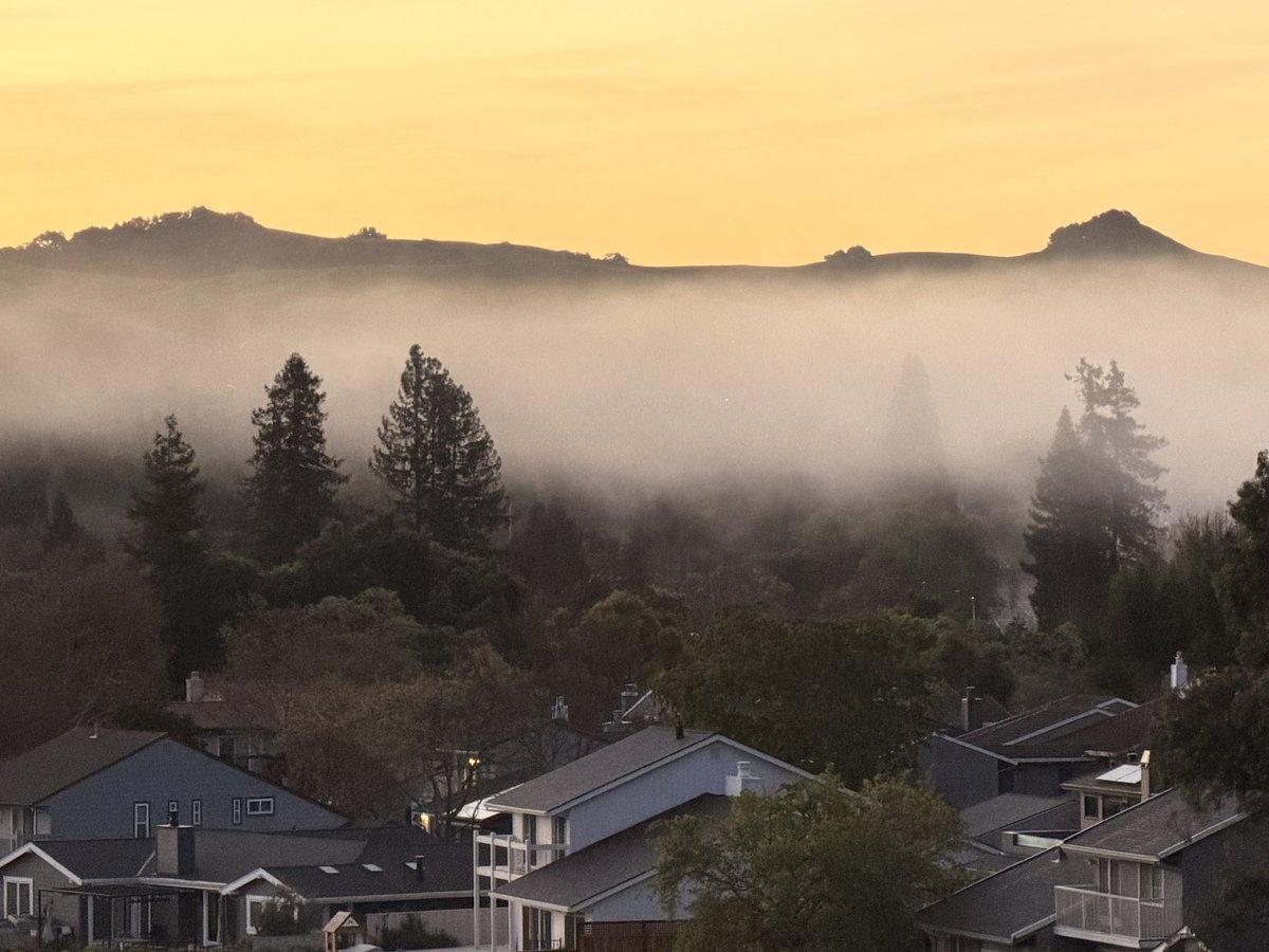 Prachee Avasthi tweet media