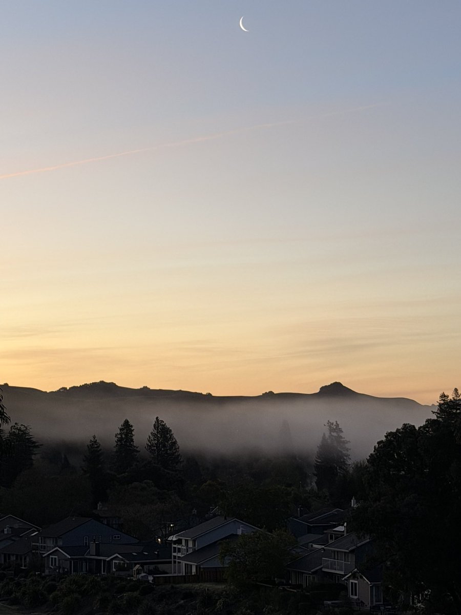 Prachee Avasthi tweet media