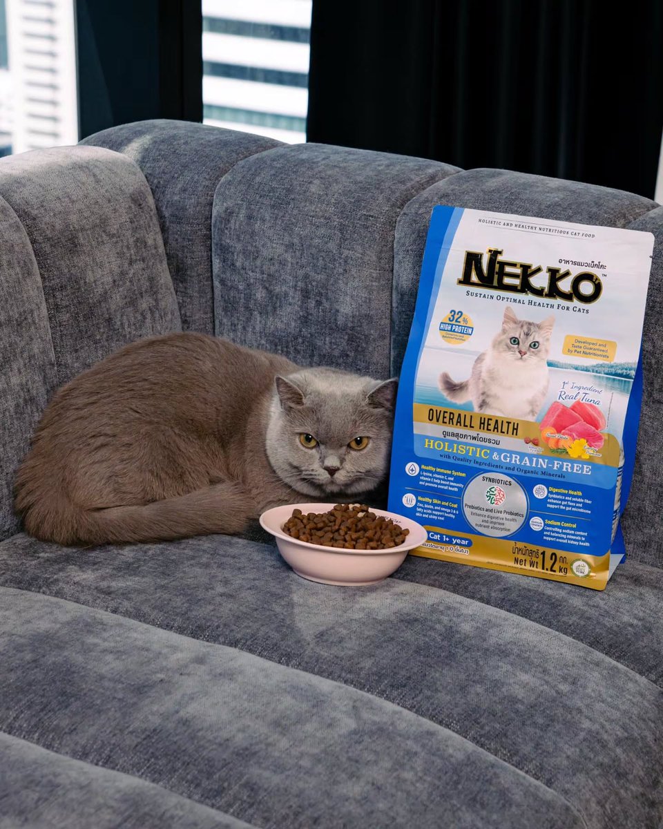 fotfOt! ₍ᐢ..ᐢ₎♡ tweet media