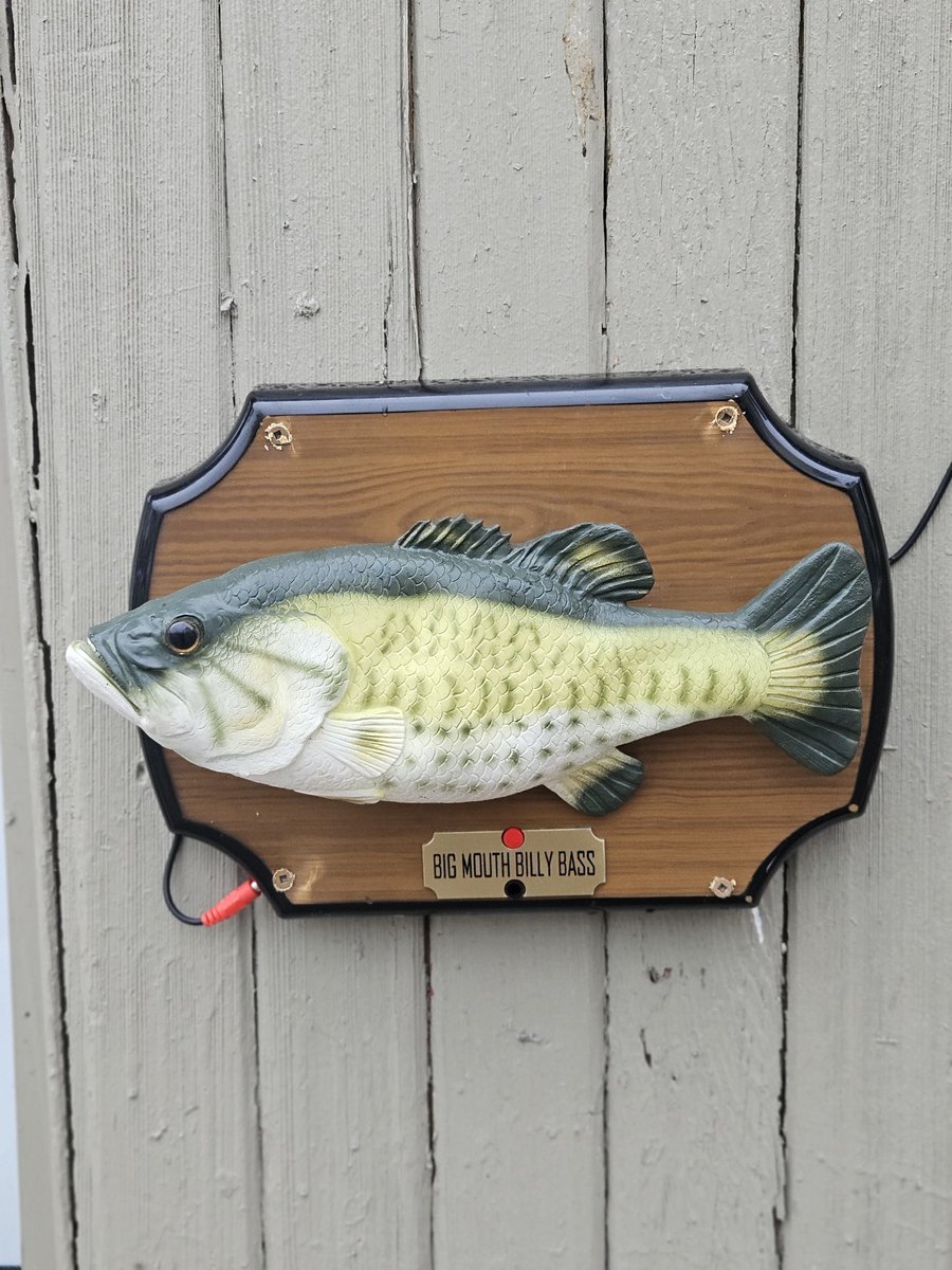 647-483-6060 tweet media