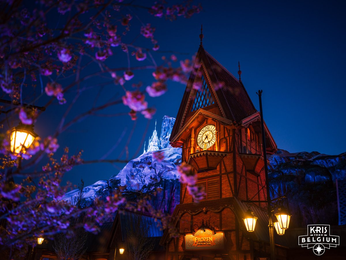 Kris From Belgium tweet media