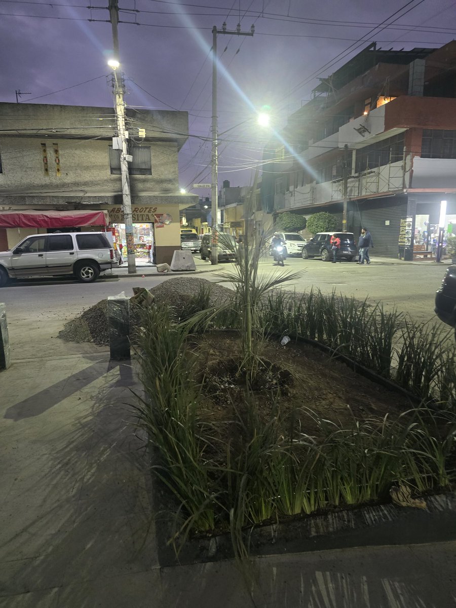 Perla del mar tweet media