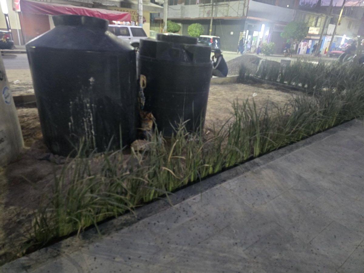 Perla del mar tweet media