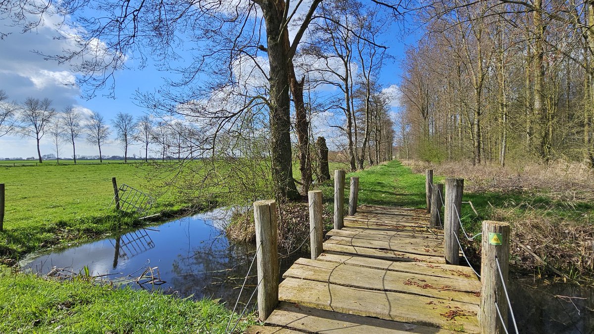 Agnes Advocaat tweet media