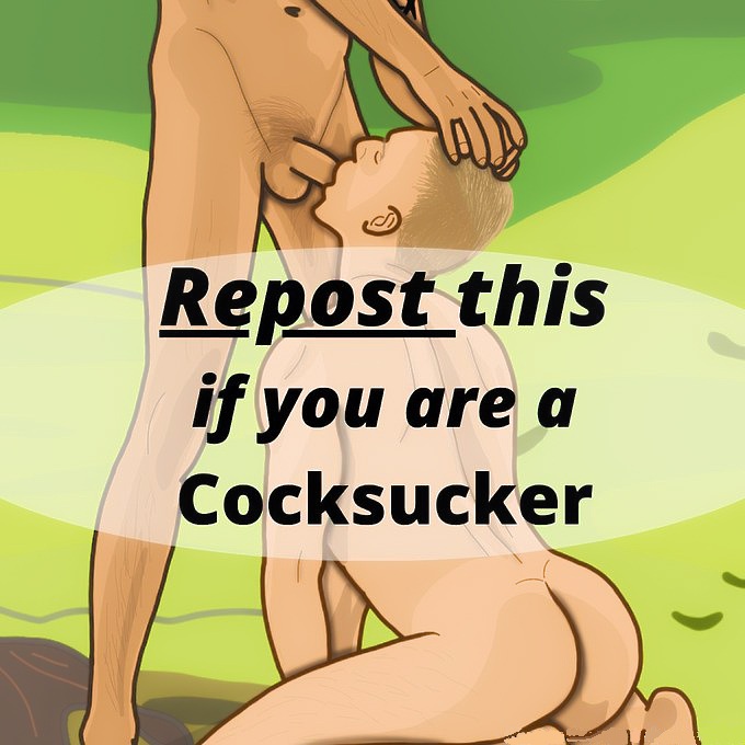 Gay Sub University🍆 tweet media