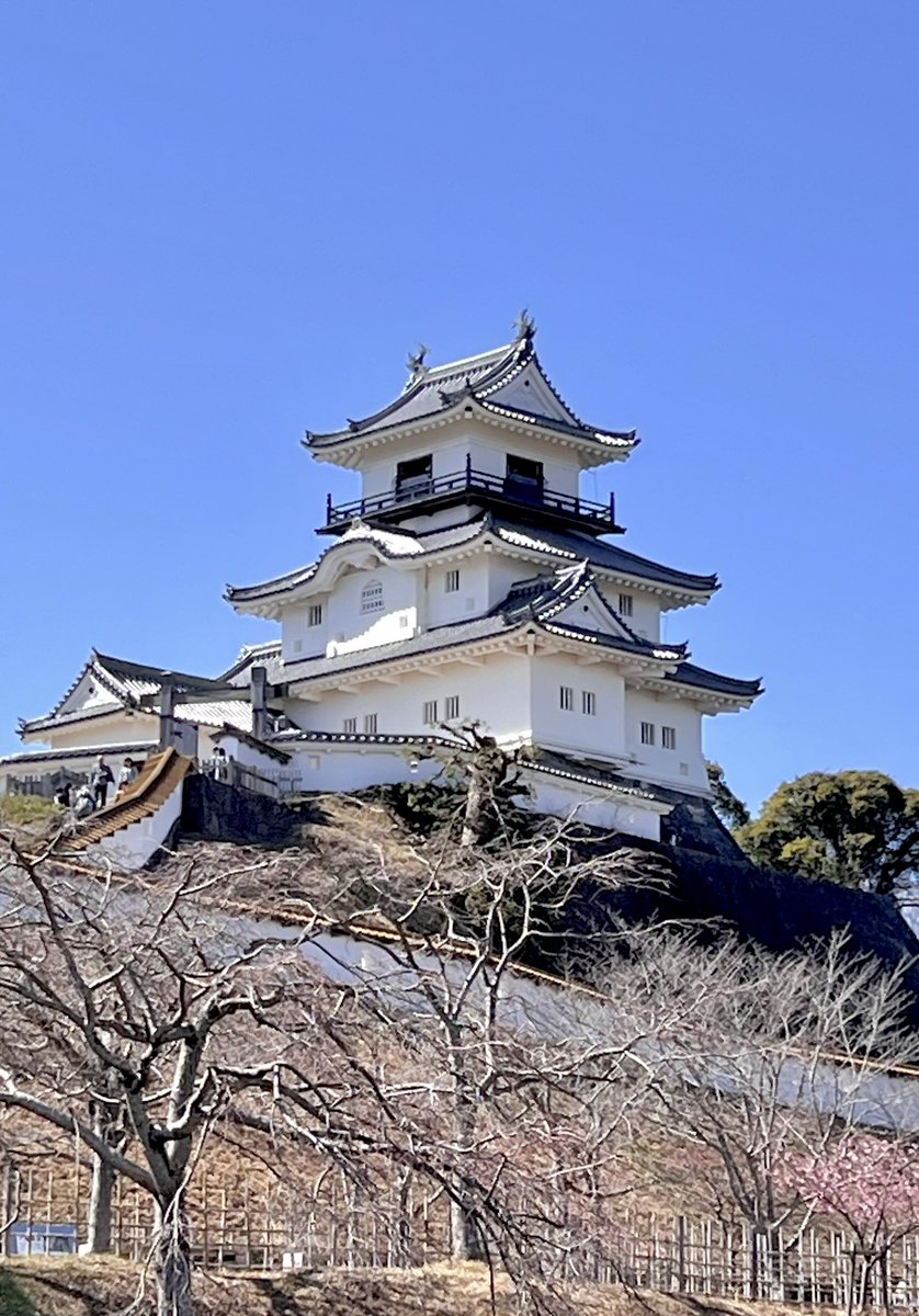 A_rina31's tweet photo. 静岡へ行ってきたよ〜！念願の掛川へ…🏯✨
色んな場所へ行って食も歴史も茶文化もたっぷり堪能させていただき充実した旅行になりました。鮪と山葵と茶が信じられないほど美味かった。 https://t.co/Xn3PqdL2Qm