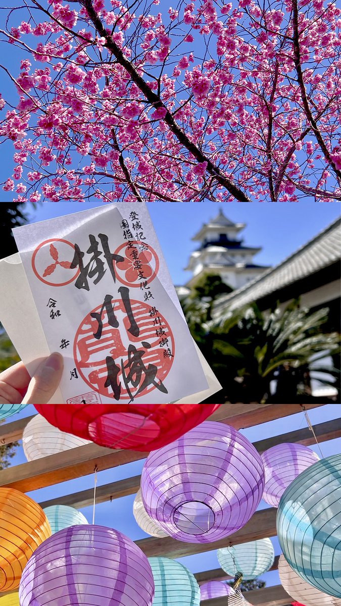 A_rina31's tweet photo. 静岡へ行ってきたよ〜！念願の掛川へ…🏯✨
色んな場所へ行って食も歴史も茶文化もたっぷり堪能させていただき充実した旅行になりました。鮪と山葵と茶が信じられないほど美味かった。 https://t.co/Xn3PqdL2Qm