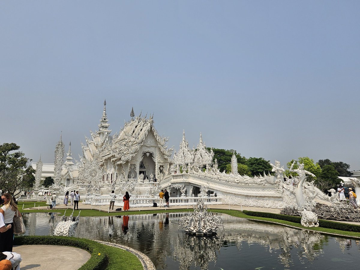 Rob - DancingRob tweet media