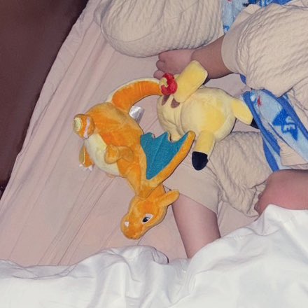 息子の誕生日にピカチュウとリザードンのポケモンfitを贈ったんだけど、このチョイス、自分が子どもの頃でも全く同じだった可能性が高い。
赤緑から30年経ってるのに「子どもが自然に好きになるポケモン」が変わってないの、冷静に考えてヤバくないか？
今夜はこの2匹と一緒に寝てる。