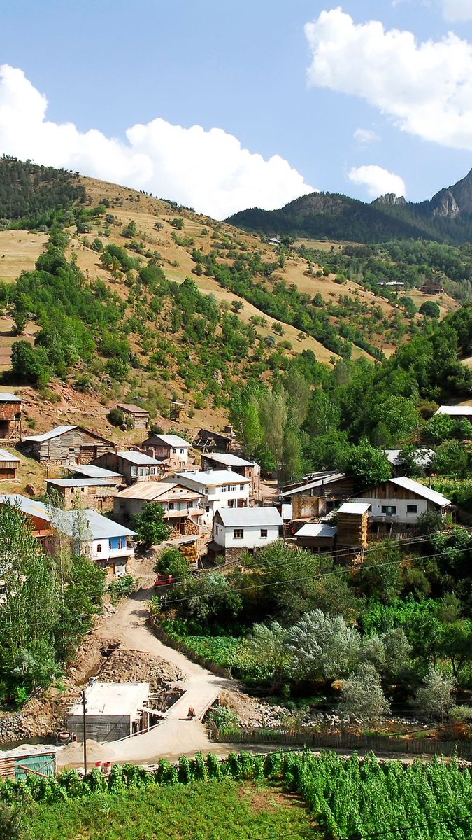 Abu Bakr tweet media