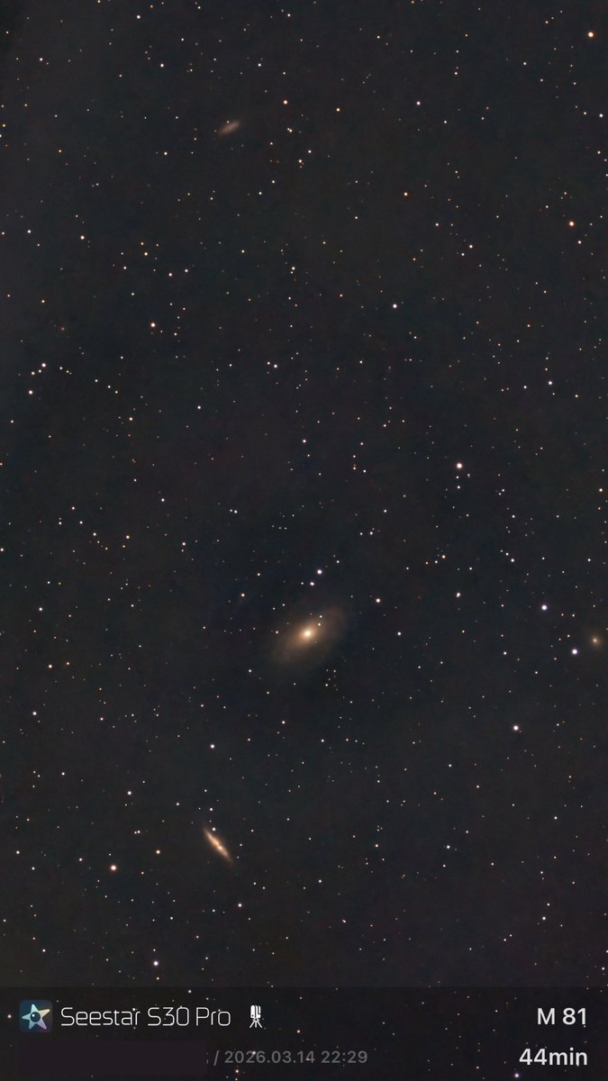 名字和头像同时随便改改 tweet media