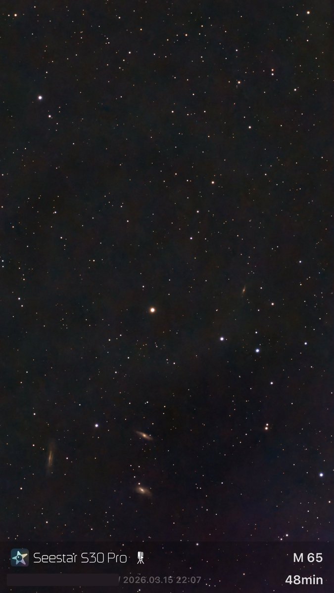 名字和头像同时随便改改 tweet media