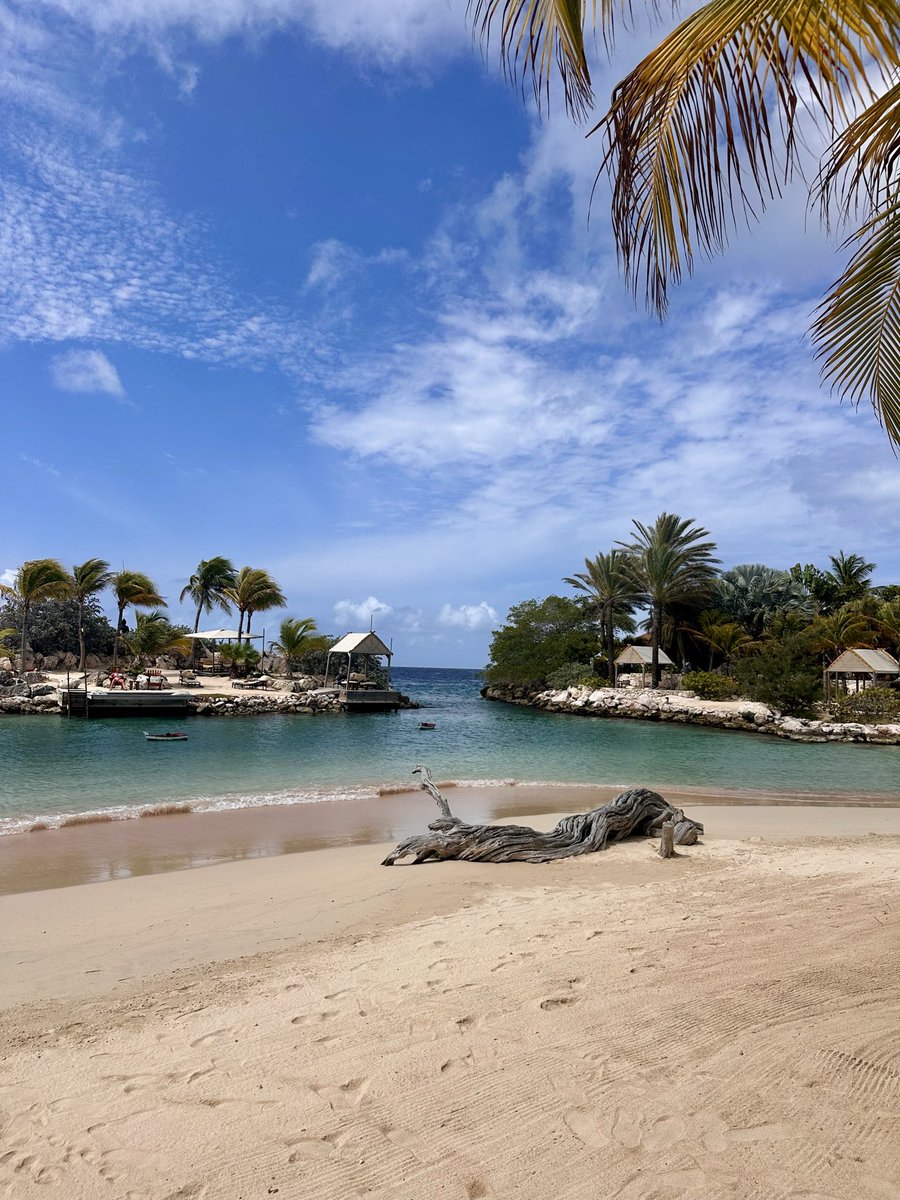 Victoria Banaszczyk tweet media