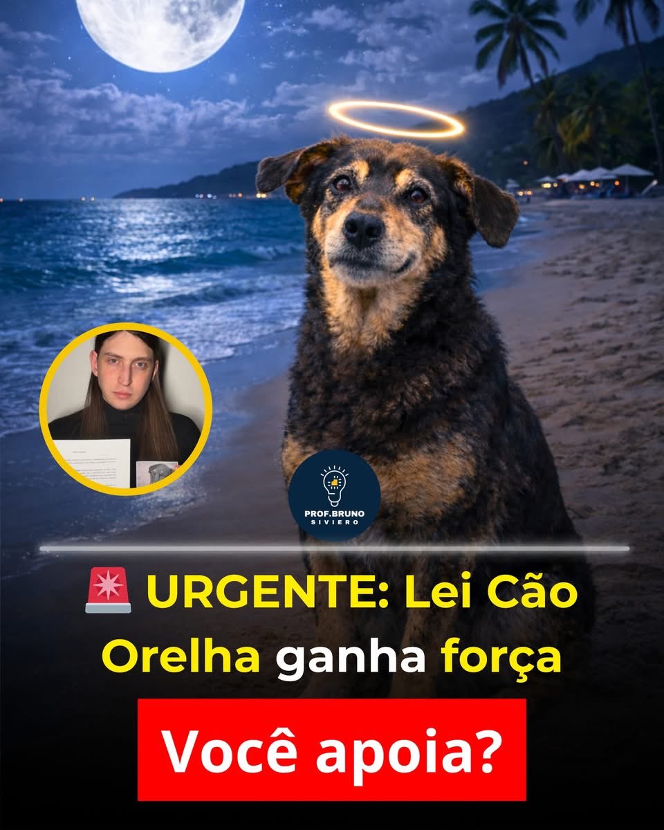 carvalho_harlen's tweet photo. https://t.co/aV5kRFinwx