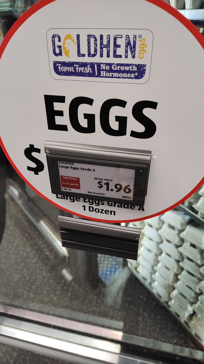 BigBodyBerg tweet media