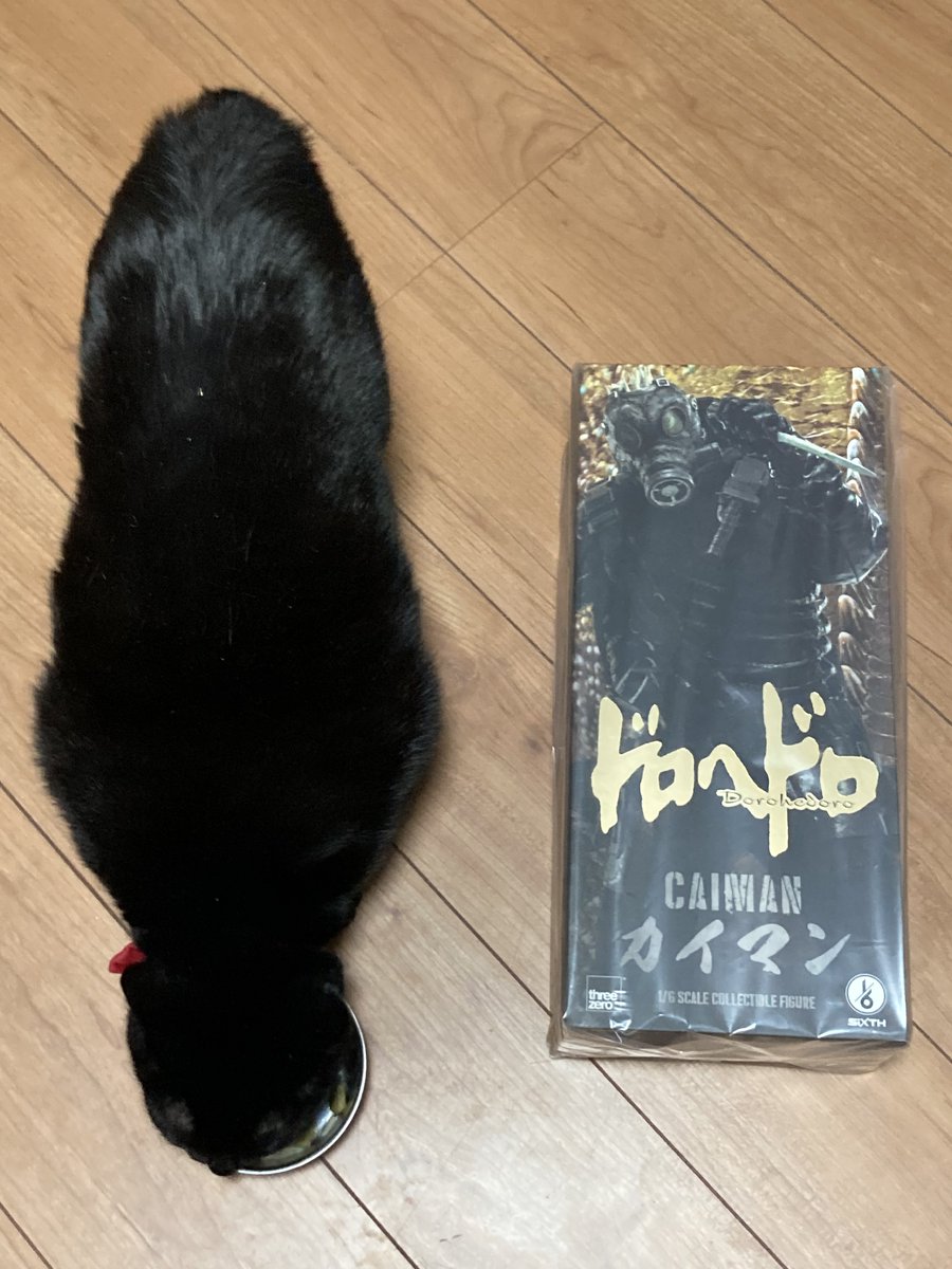 ルヲル tweet media