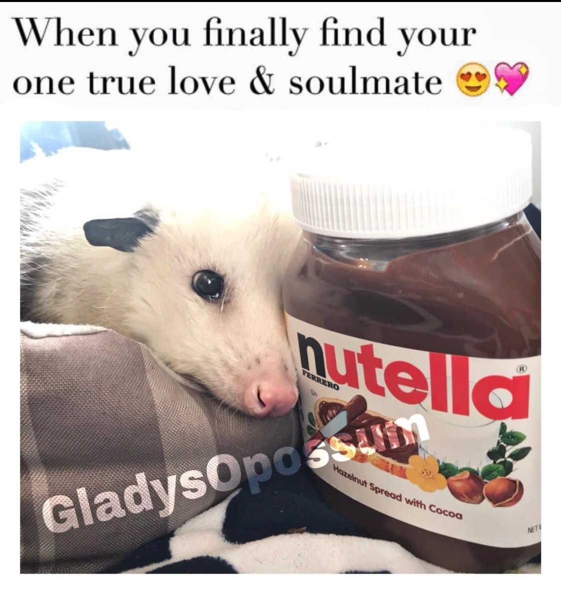 Snaggletooth Screamer tweet media