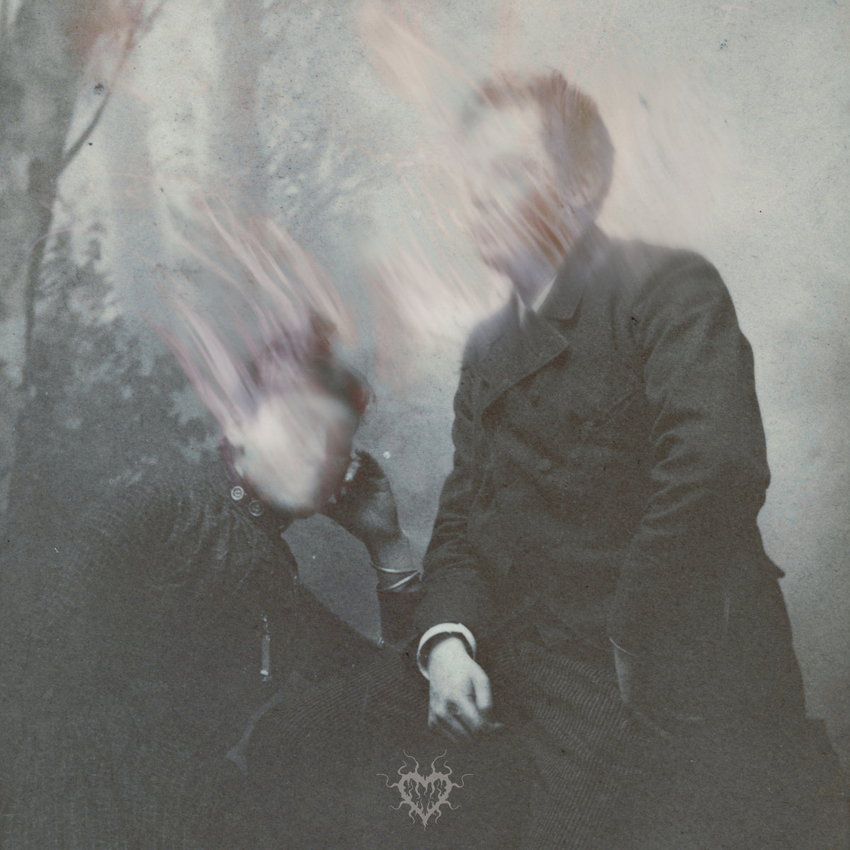 Adrien Havet tweet media